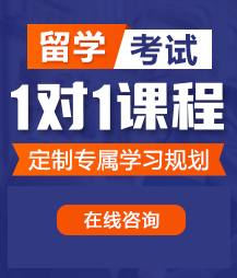 要操白胖细嫩骚女人的骚逼啪啪啪啪毛片免费视频留学考试一对一精品课